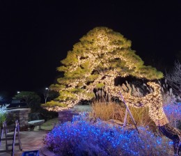 부여 이가정의원 경관조명